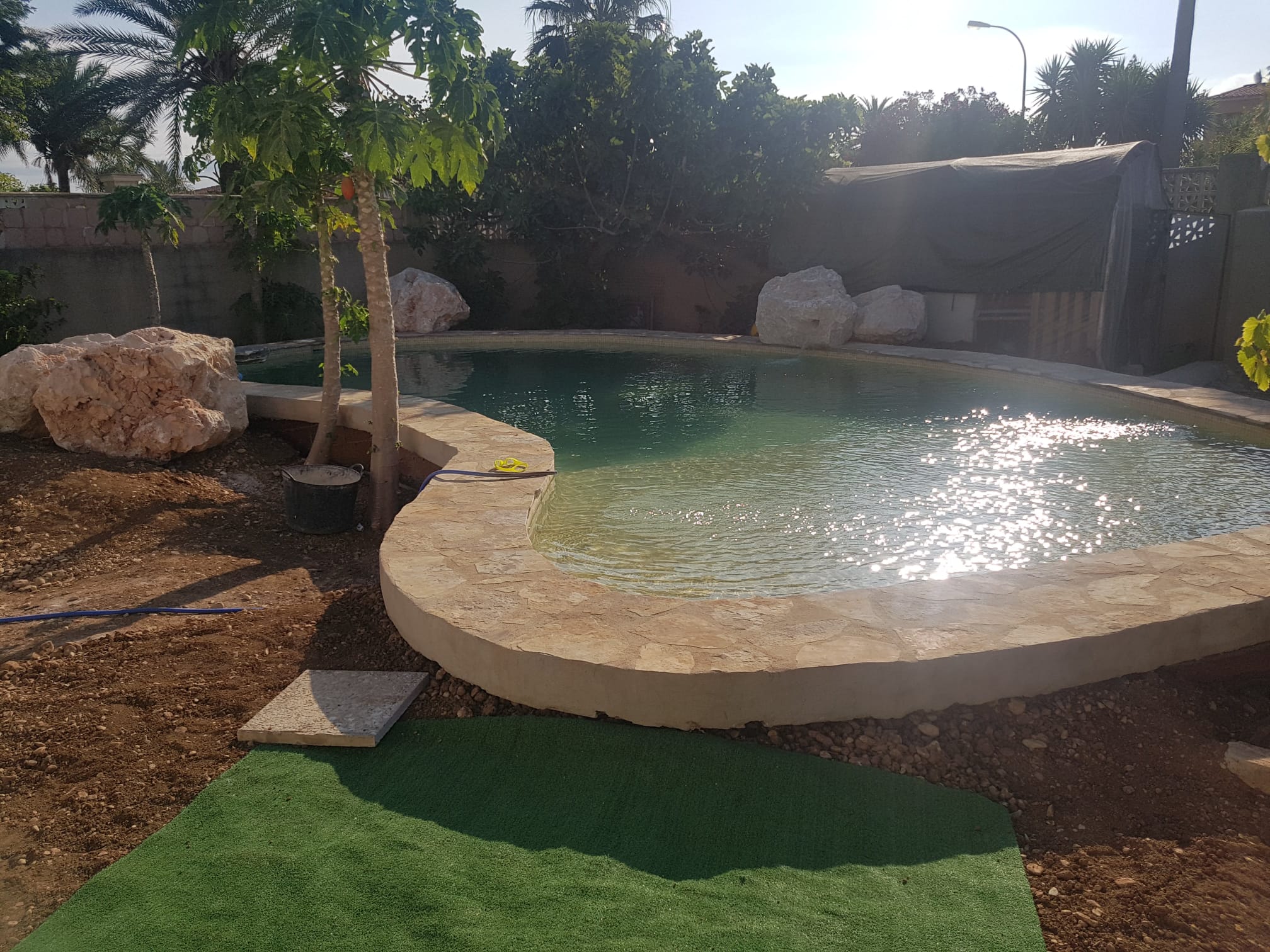Completed pool with landscaping